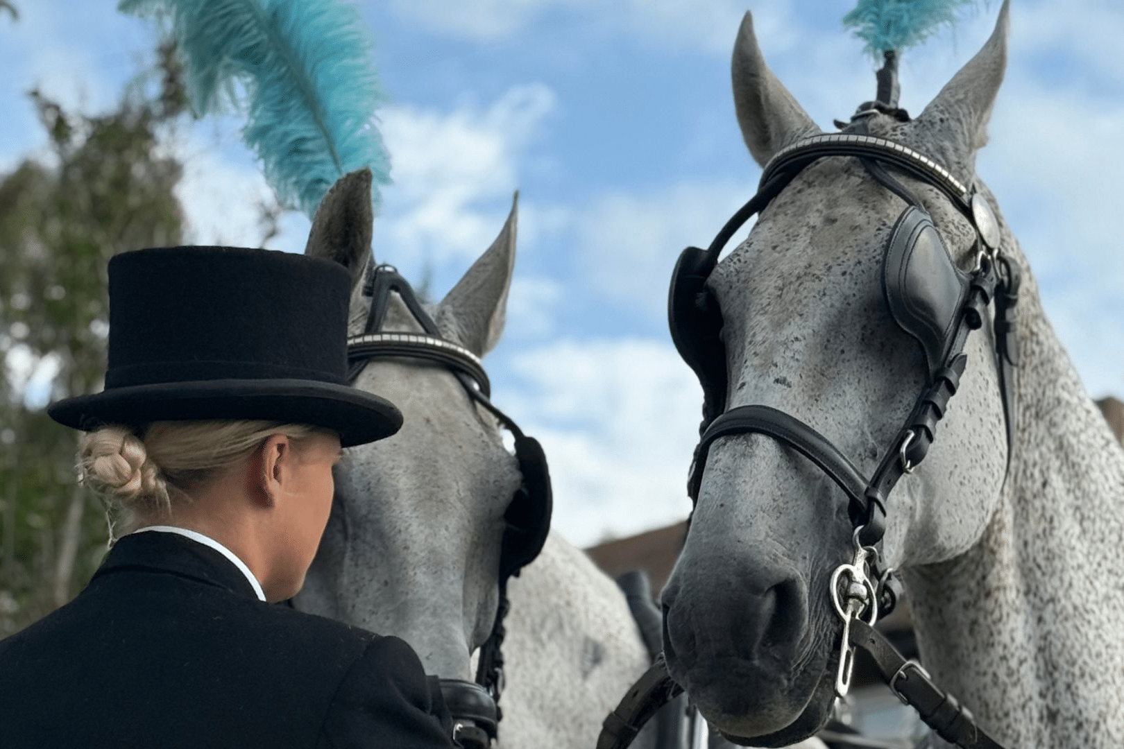 Horse-Drawn- Funerals