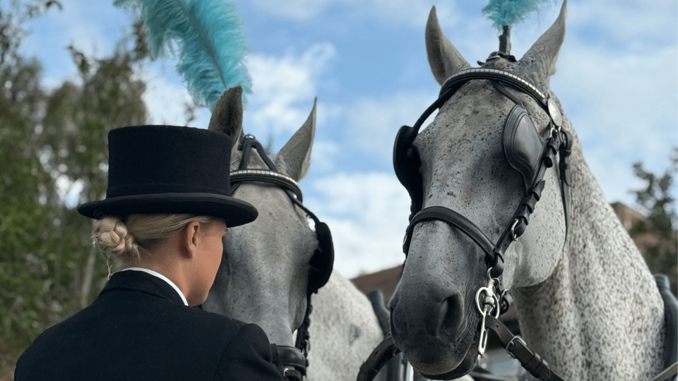 Horse-Drawn- Funerals